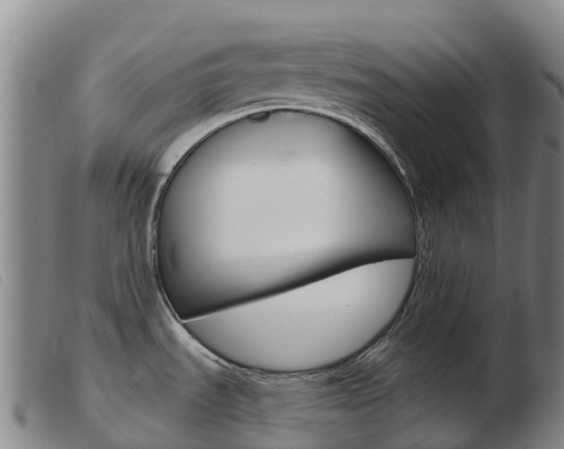 X0000103951535200809191159