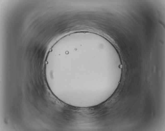 X0000103951536200809191159