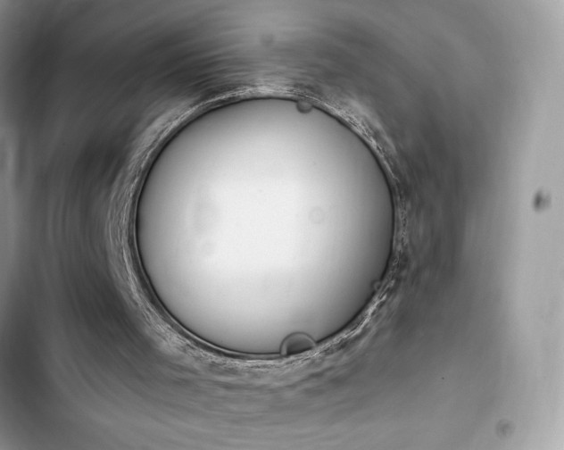 X0000103950001200809191451
