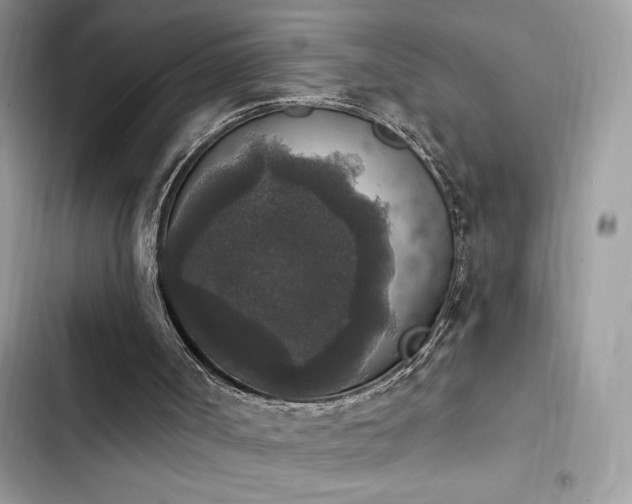 X0000103950002200809191451