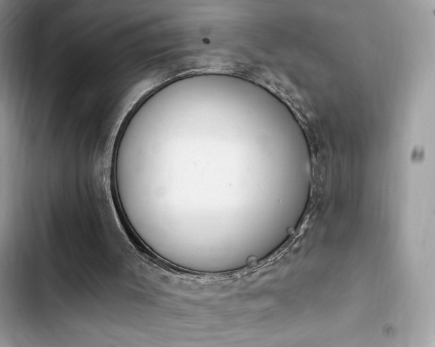 X0000103950003200809191451
