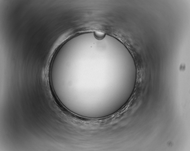 X0000103950004200809191451