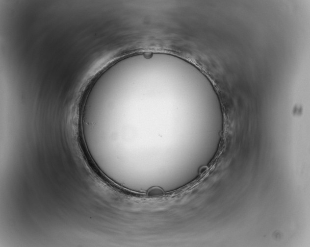 X0000103950005200809191451