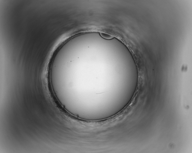 X0000103950006200809191451