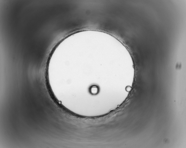 X0000103950007200809191451