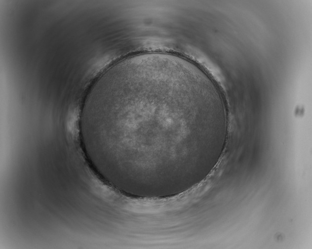 X0000103950009200809191451