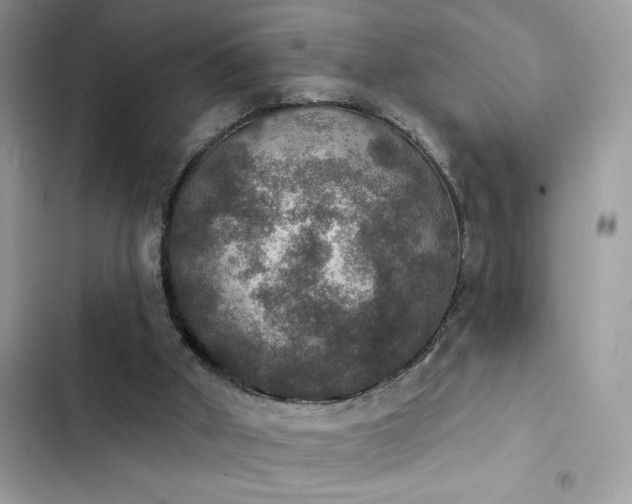 X0000103950010200809191451