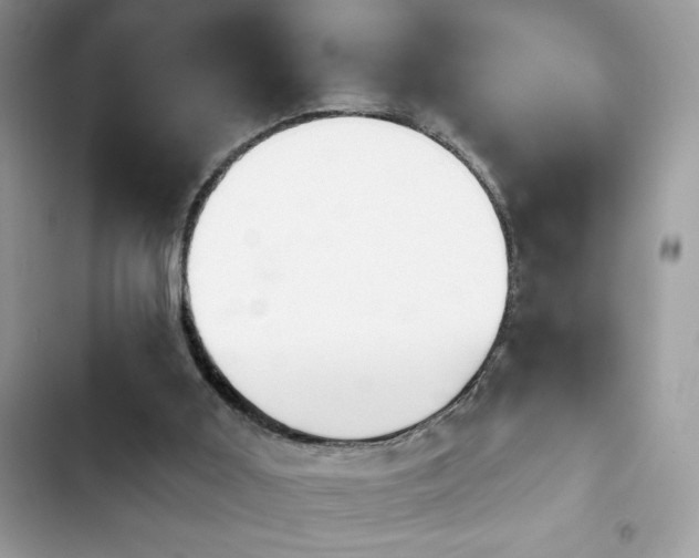 X0000103950011200809191451
