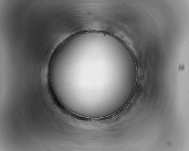 X0000103950012200809191451