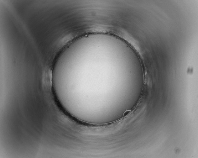 X0000103950013200809191451