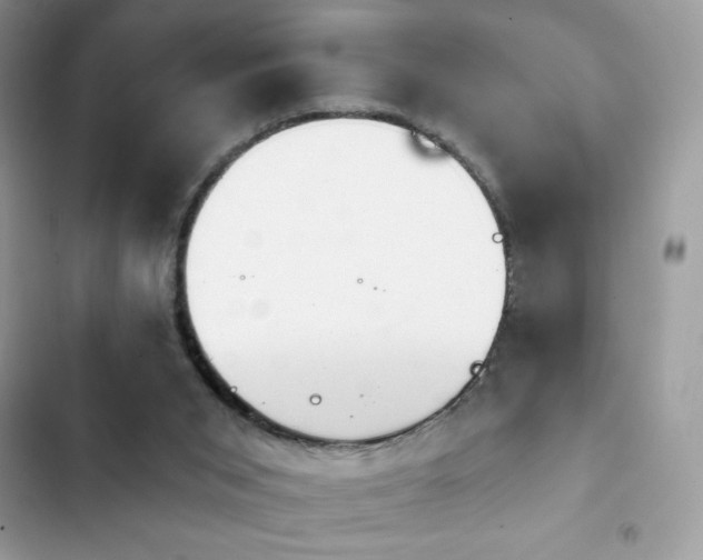 X0000103950015200809191451