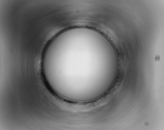 X0000103950016200809191451