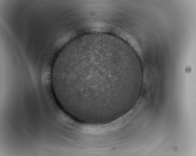 X0000103950017200809191451