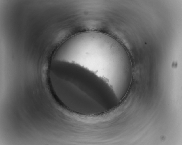 X0000103950018200809191451