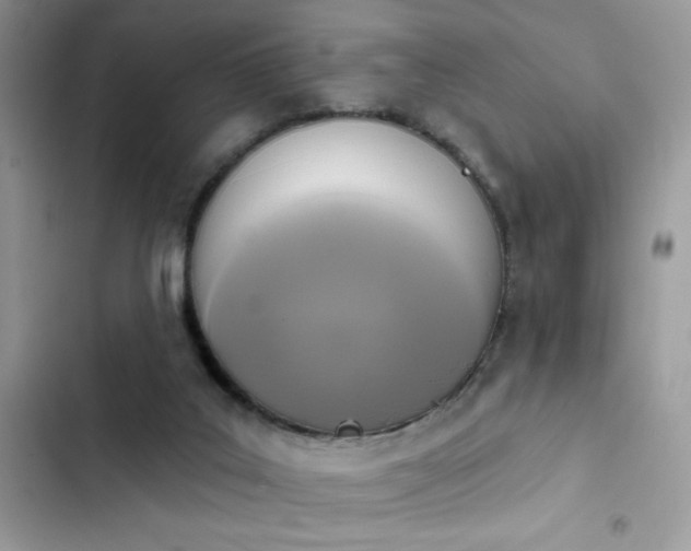 X0000103950019200809191451