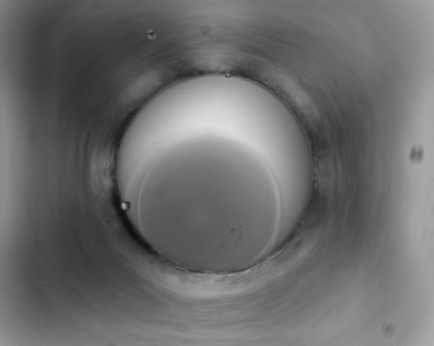 X0000103950023200809191451