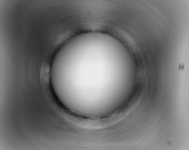 X0000103950024200809191451