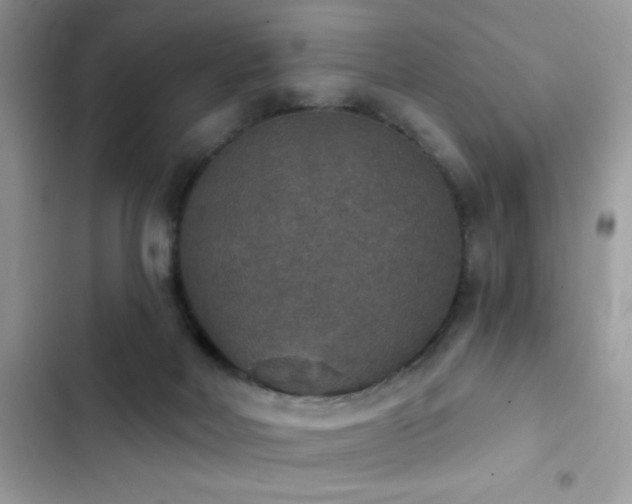 X0000103950026200809191451