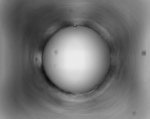 X0000103950028200809191451