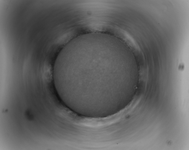 X0000103950029200809191451