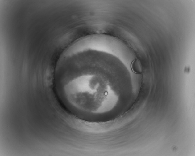 X0000103950030200809191451