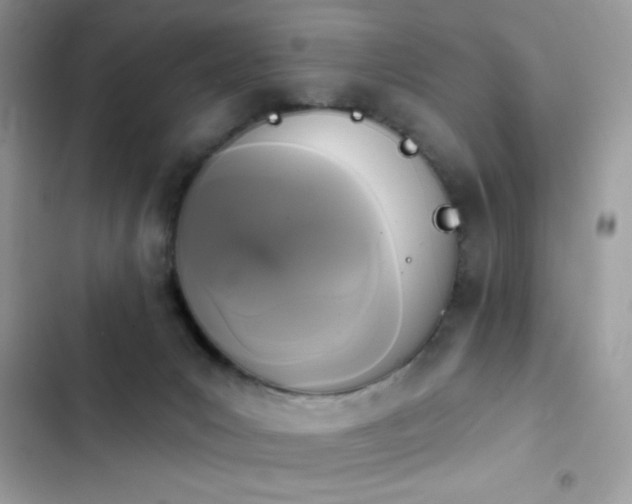 X0000103950031200809191451