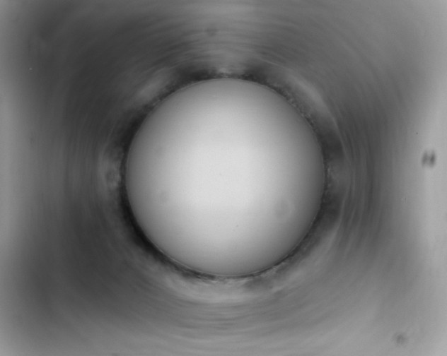 X0000103950032200809191451