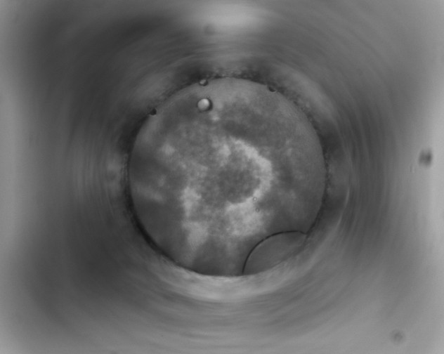 X0000103950034200809191451