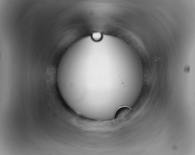 X0000103950036200809191451