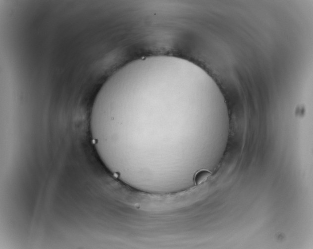 X0000103950037200809191451