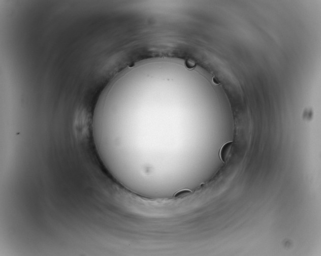X0000103950038200809191451
