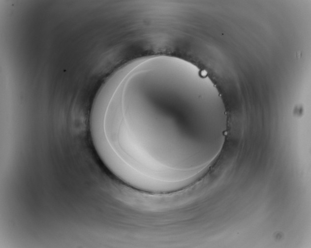 X0000103950039200809191451