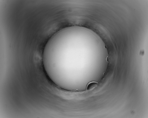 X0000103950040200809191451