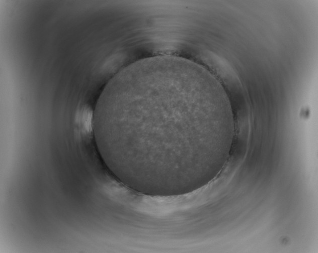X0000103950041200809191451