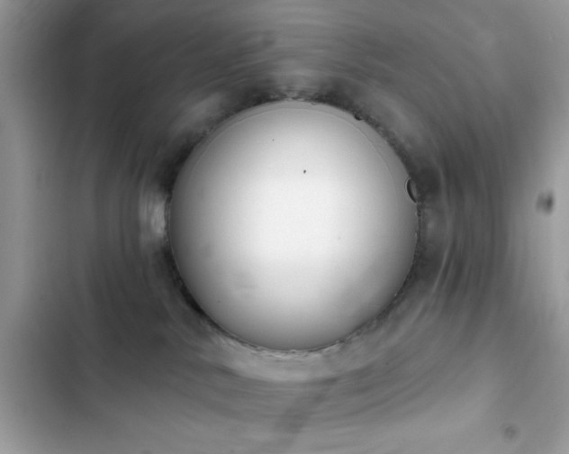 X0000103950042200809191451