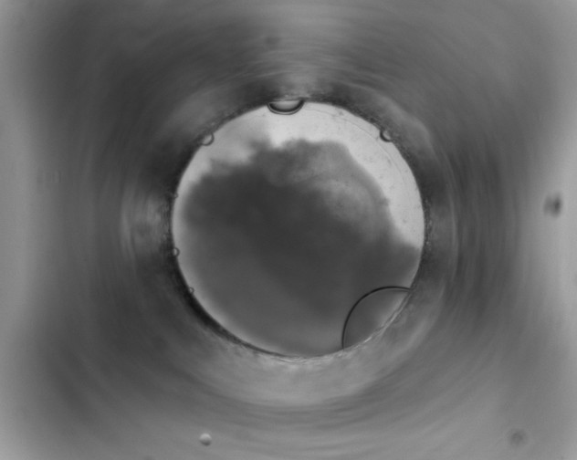 X0000103950043200809191451