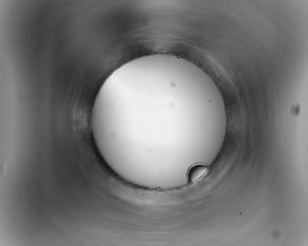 X0000103950044200809191451