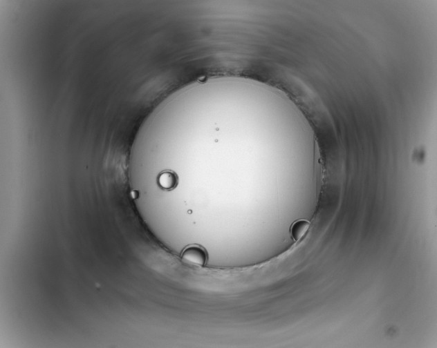 X0000103950045200809191451