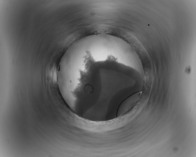 X0000103950046200809191451