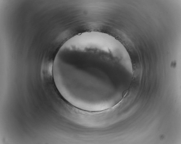 X0000103950047200809191451