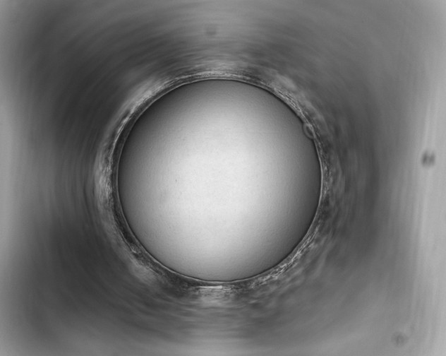 X0000103950050200809191450