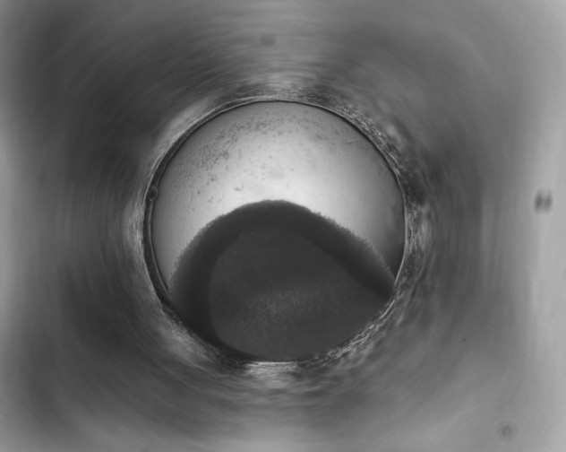 X0000103950051200809191450