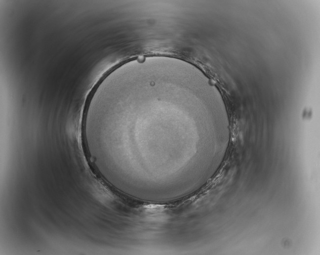 X0000103950052200809191450