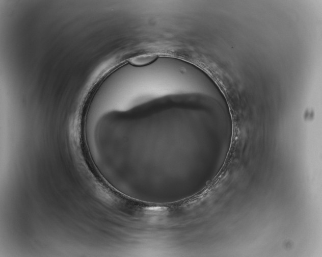 X0000103950053200809191450
