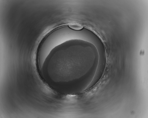 X0000103950055200809191450