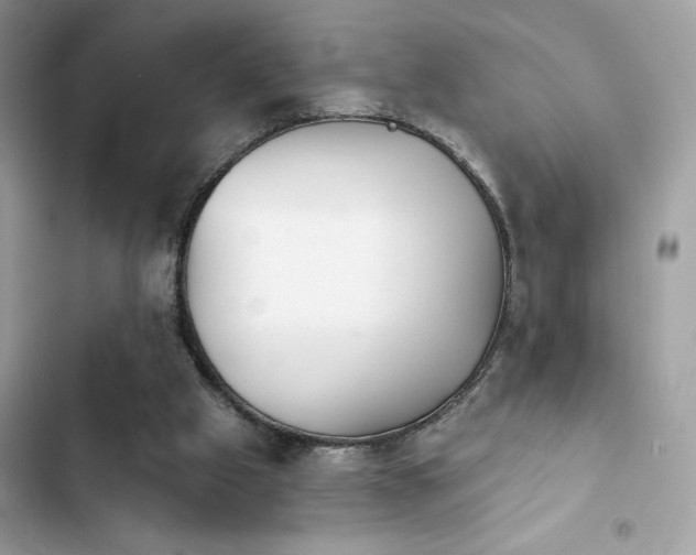X0000103950057200809191450