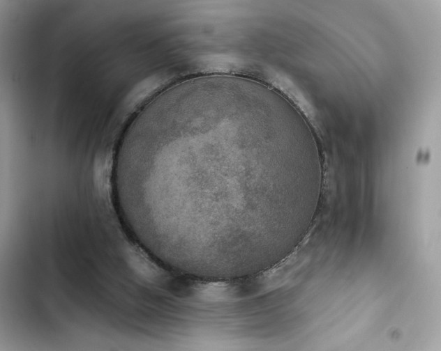 X0000103950058200809191450