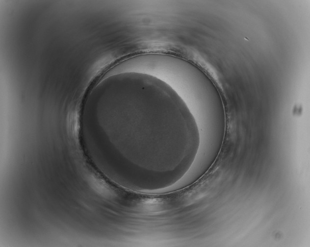X0000103950059200809191450