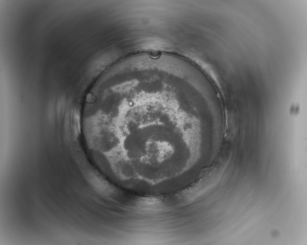 X0000103950061200809191450