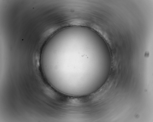 X0000103950062200809191450